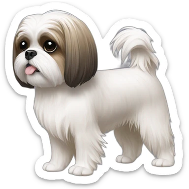 Shih tzu with computer sticker