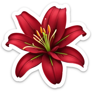 A lily flower in a dark cherry red colour sticker