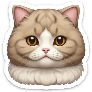 Scottish fold sticker