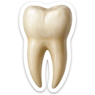 realistic illustration of a single human tooth, no background sticker