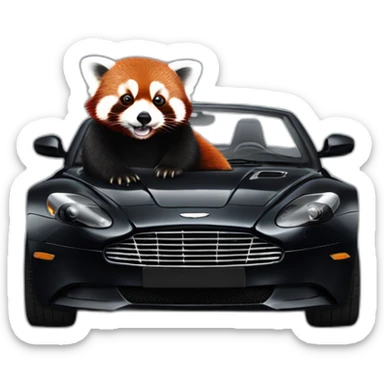 Red panda sitting in driver’s seat of a black Aston Martin sticker