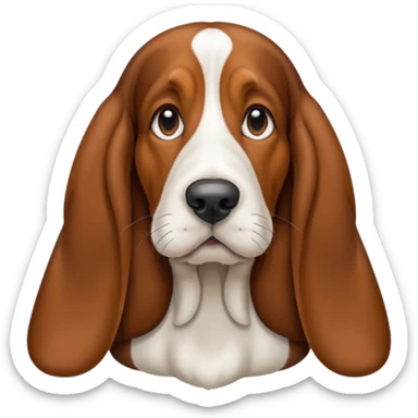 Basset hound sticker