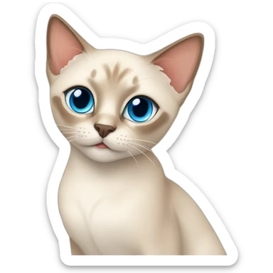 Flamepoint siamese cat blue eyes sticker