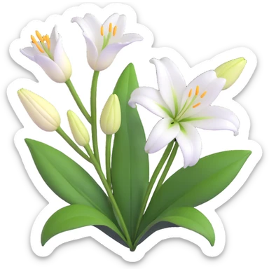 detailed white lily with six petals, a closed bud, and several green leaves sticker