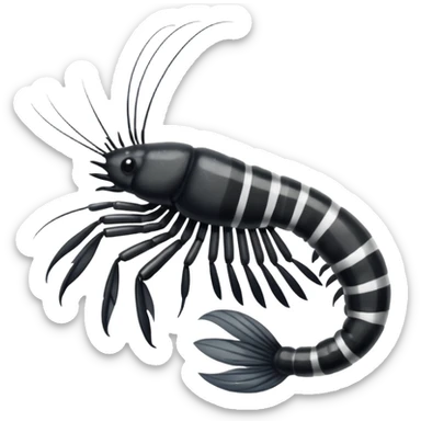 Coal bandit shrimp sticker