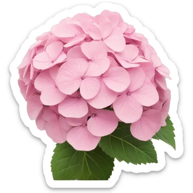 One light pink hydrangea  sticker