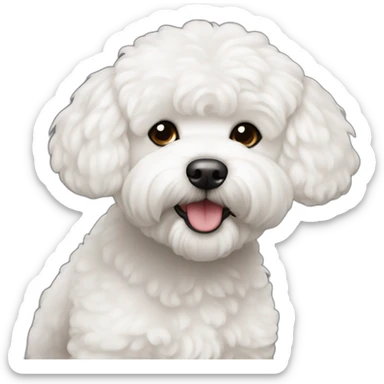 Bichon maltez cu o fata cu parul blond si ochii verzi sticker
