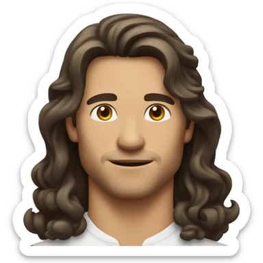 Handsome brunette man  with long hair sticker