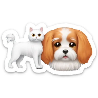 White Maltese next to orange cat sticker