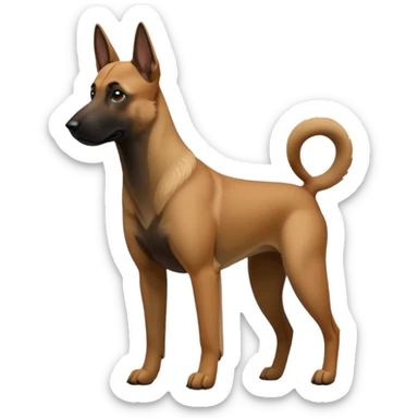 Belgian malinois sticker