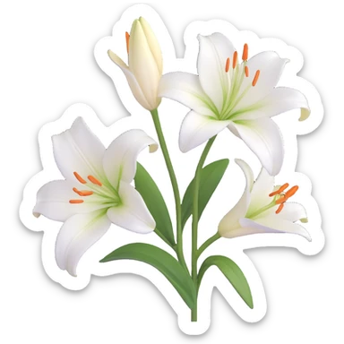 white lily flower, 3D realistic style, subtle highlights sticker