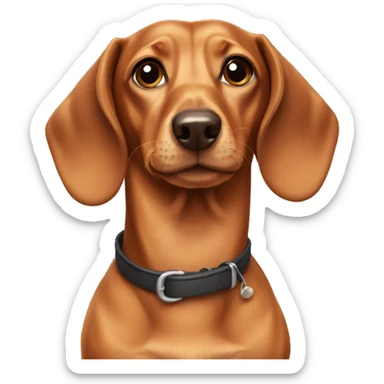 Dachshund sticker