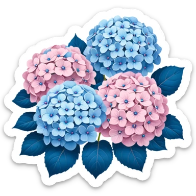 Rococo blue and pale pink hydrangeas sticker