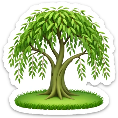 A 3D cartoon willow tree with drooping green branches over soft grass, natural sunlight, Memoji-style rendering. sticker