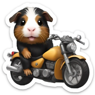 Black and tan guinea pig on motorcycle  sticker