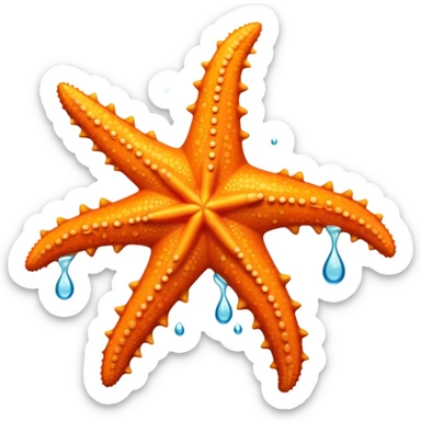 orange starfish with five arms in the ocean sticker