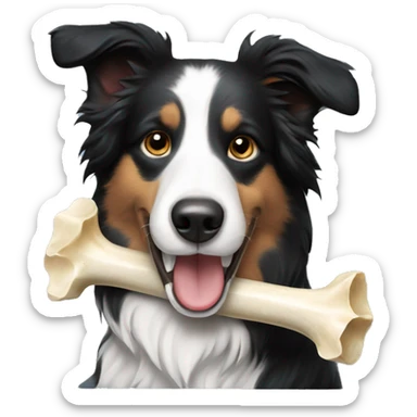 Border collie with bone in mouth sticker