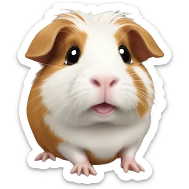 Guinea pig sticker