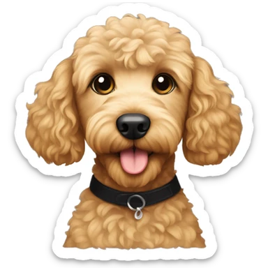 Goldendoodle with a black poodle mix sticker