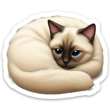 fluffy siamese cat curled up sleeping sticker