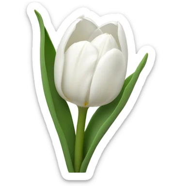 White Tulips  sticker