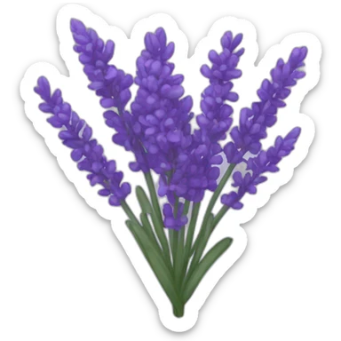 Lavanda sticker