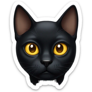 black cat with golden eyes scowling sticker