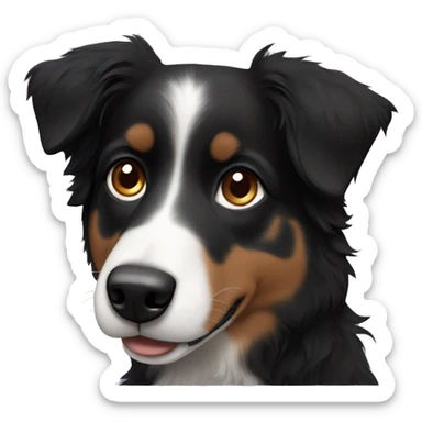 Small black australian shepherd dog with black nose sticker