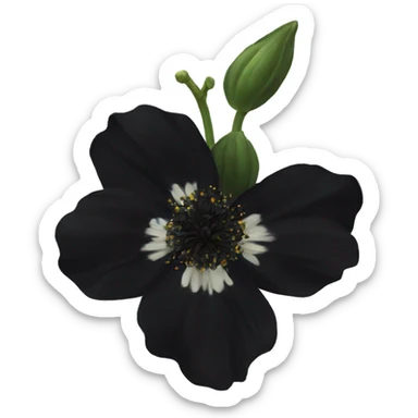  semi real Black flower sticker