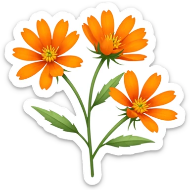 Orange Agoseris flowers sticker