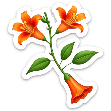 single Trumpet Vine flower, straight stem sticker
