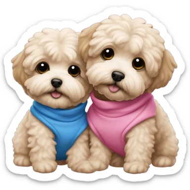 2 maltipoo dogs hugging, one wearing a pink sweatshirt and the other wearing a blue one sticker