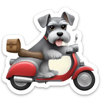 Miniature grey Schnauzer driving a vespa sticker