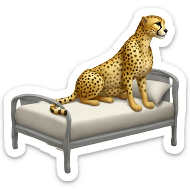 90’s cheetah bed sticker
