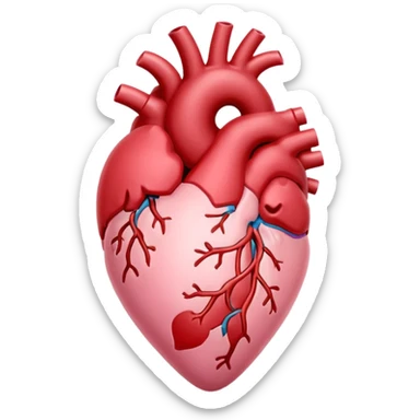 anatomical heart, soft pink, light sticker