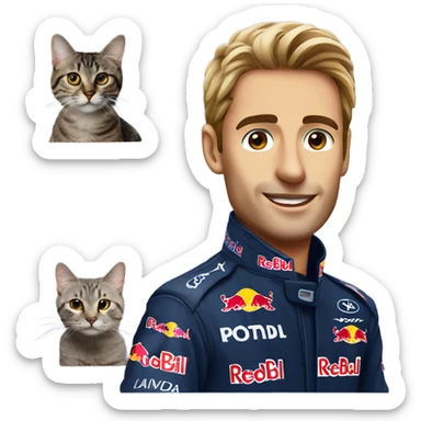 RedBull F1 car driver with a cat face  sticker