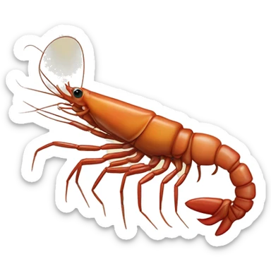 big-claw River Shrimp (Eng.), Camarón de Río sticker