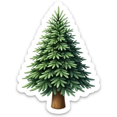actual white fir Christmas tree, isolated sticker