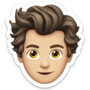 Harry styles  sticker
