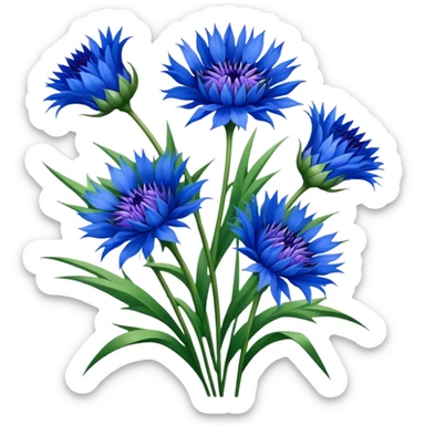 luxuriant, big bouquet Cornflower, stem, leaf sticker