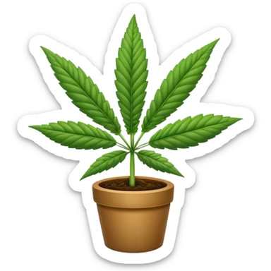 Marijuana sticker