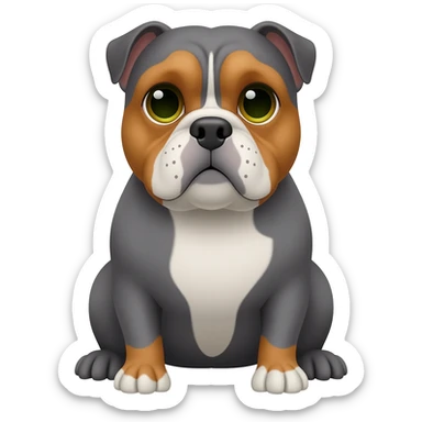 senior gray English bulldog, with caramel details in eyebrows, white details in face, white chest, sitting in his paws. eyes are green/honey color sticker