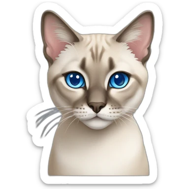 lynx-point-siamese-cat-blue-eyes sticker