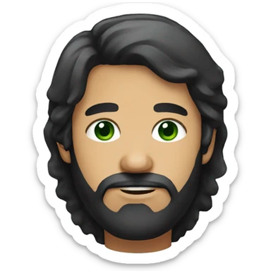 Web designer black hair with bays, green eyes, and a tight beard sticker
