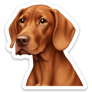 A vizsla dog sticker