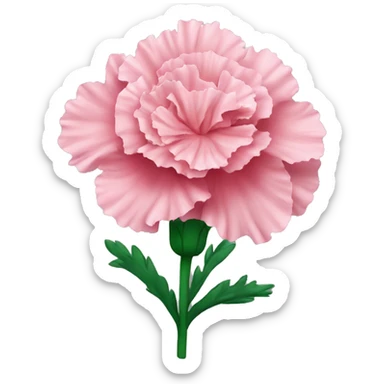 carnation flower sticker