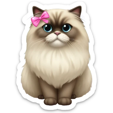 himalayan cat with a siamiese appearance,has heart eyes and  wearing a pink sparkly bow sticker