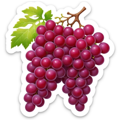 Fruit Red anggur sticker