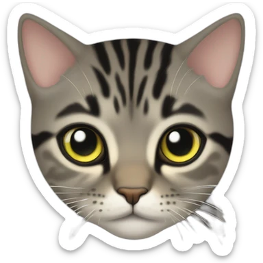  brown-grey cat with black striped pattern, age 4-5 months, eyes yellow-green, sticker