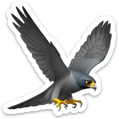Peregrine falcon sticker